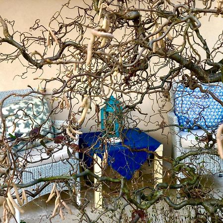 Boccadibacco Bed and Breakfast San Pietro in Cariano Eksteriør billede